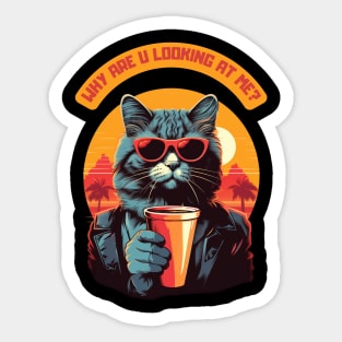 Why are you looking at me - cat with sunglasses Sticker